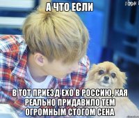 а что если в тот приезд ехо в россию, кая реально придавило тем огромным стогом сена