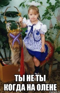  ты не ты когда на олене