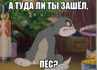 а туда ли ты зашёл, пёс?
