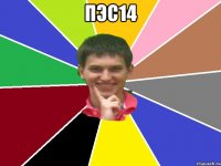 пэс14 