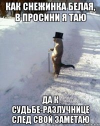как снежинка белая, в просини я таю да к судьбе-разлучнице след свой заметаю