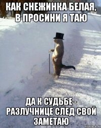 как снежинка белая, в просини я таю да к судьбе - разлучнице след свой заметаю
