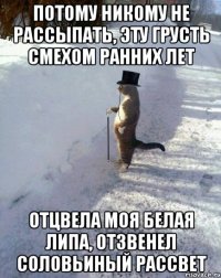 потому никому не рассыпать, эту грусть смехом ранних лет отцвела моя белая липа, отзвенел соловьиный рассвет