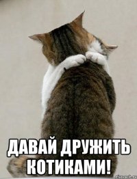  давай дружить котиками!