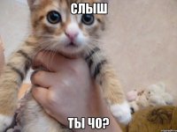 слыш ты чо?