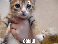 э свыш