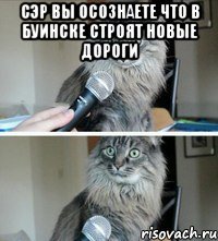 сэр вы осознаете что в буинске строят новые дороги 
