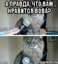а правда, что вам нравится вова? 