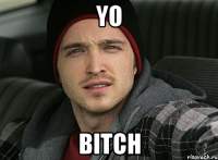 yo bitch