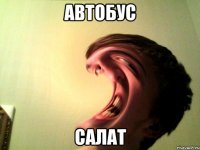 автобус салат