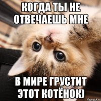 когда ты не отвечаешь мне в мире грустит этот котёнок)