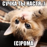 сучка ты настя :) (с)рома
