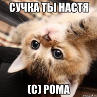 сучка ты настя (с) рома