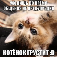 уходишь во время общения не предупредив котёнок грустит :d