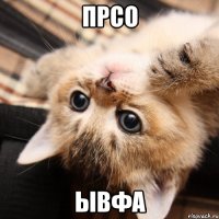 прсо ывфа