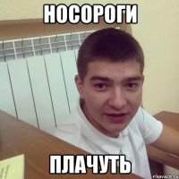 носороги плачуть