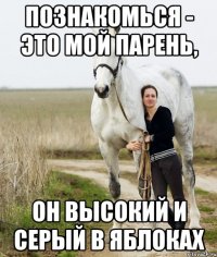 познакомься - это мой парень, он высокий и серый в яблоках