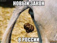 новый закон в россии