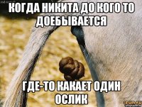 когда никита до кого то доебывается где-то какает один ослик