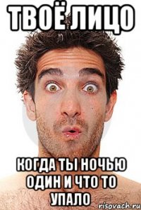 твоё лицо когда ты ночью один и что то упало