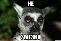 не змезно