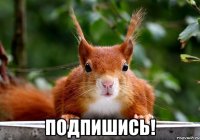  подпишись!