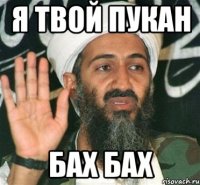 я твой пукан бах бах