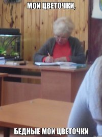 мои цветочки, бедные мои цветочки