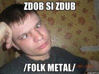 zdob si zdub /folk metal/