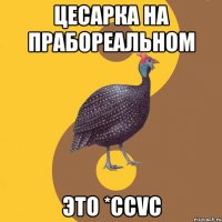 цесарка на прабореальном это *ccvc