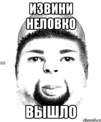 извини неловко вышло