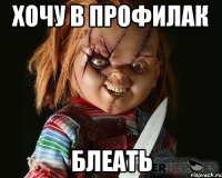 хочу в профилак блеать