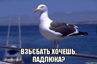  взьєбать хочешь, падлюка?