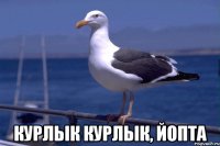  курлык курлык, йопта