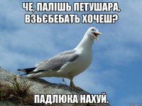 че, палішь петушара, взьєбебать хочеш? падлюка нахуй.
