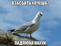 взьєбать хочешь? падлюка нахуй.