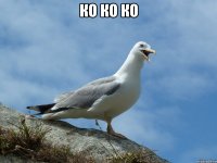 ко ко ко 