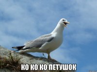  ко ко ко петушок