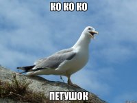 ко ко ко петушок