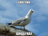 чик чик шицы нах