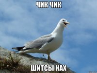 чик чик шитсы нах