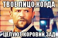 твое лицо,когда целуют коровий зад