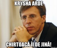 krysha arde chirtoacă îi de jină!