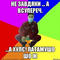 не завдяки ... а всупереч. ...а хулє! патамушо шо ж