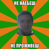 не наебеш не проживеш