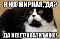 я же жирная, да? да нееет!хватит уже!