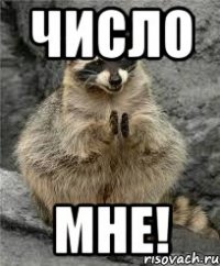 число мне!