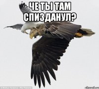 че ты там спизданул? 