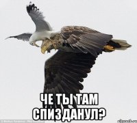  че ты там спизданул?