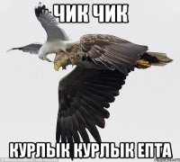 чик чик курлык курлык епта